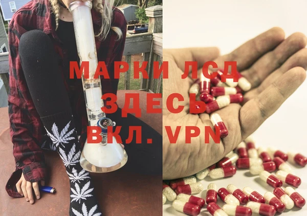 стафф Богданович